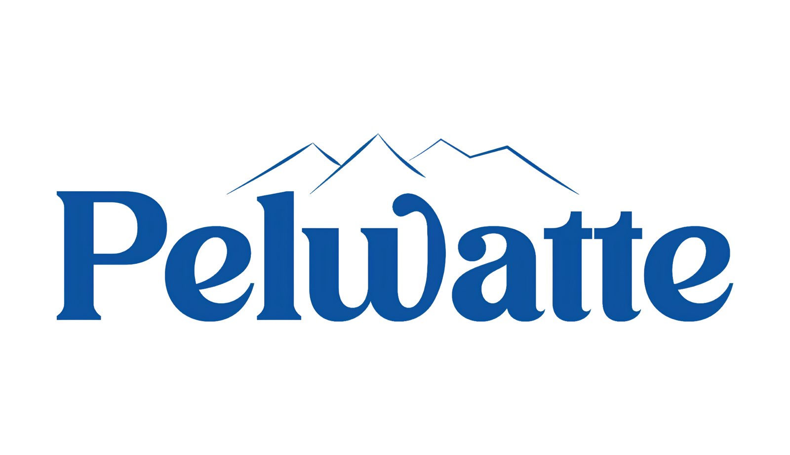Stall partner logo